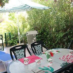 Flamingos In The Desert Villasimius